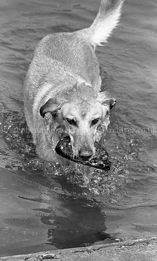 Auchenback Paddling Pool 1975.
