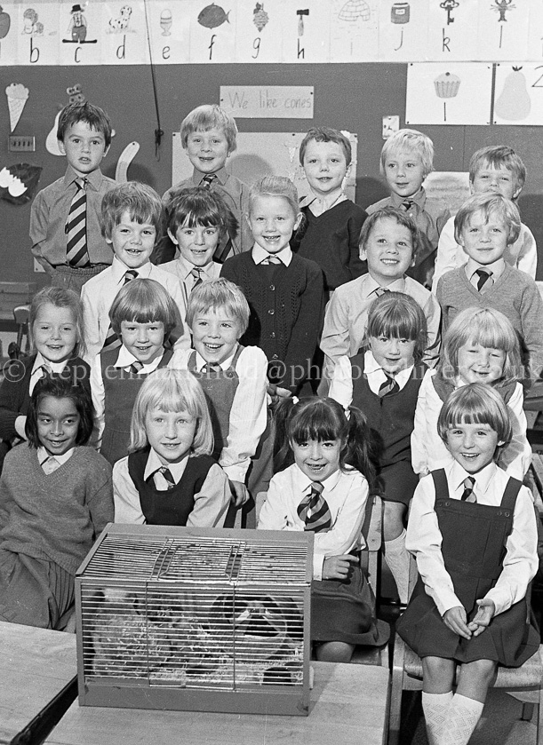 Battlefield Primary One's 1983.